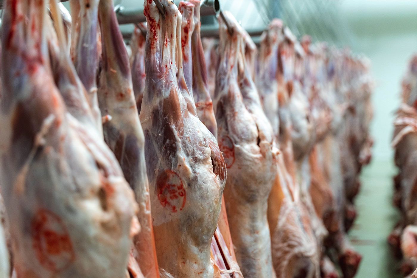 Processus d'abattage